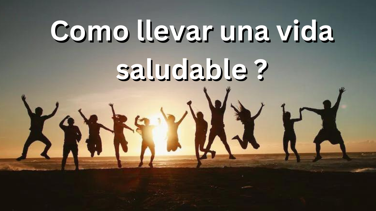 Que puedes hacer para tener una vida saludable ?