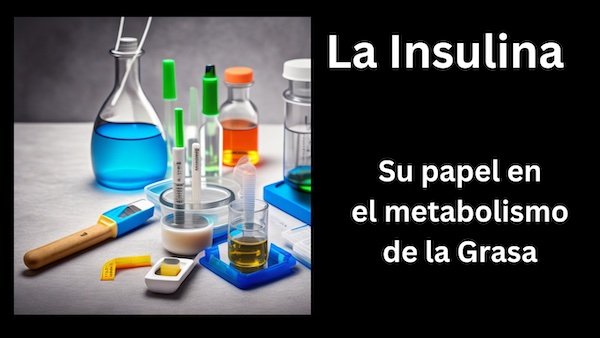 Dr Chat GPT o el futuro de la consulta médica