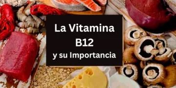 La Vitamina B12,  ¿que tan importante es ?