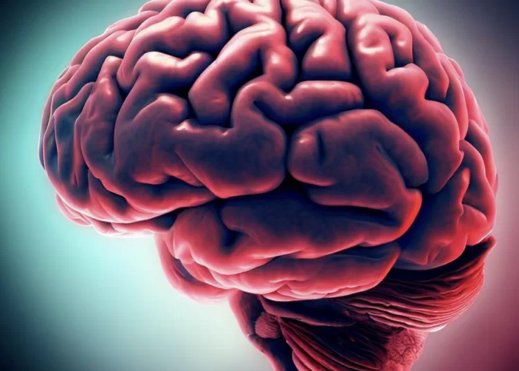 El impacto del consumo de alcohol en el cerebro cognitivo