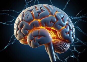 Secretos y mitos del cerebro